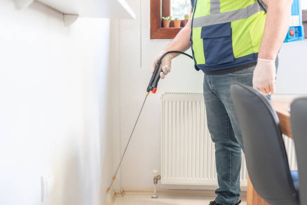 Best Pest Control Treatment  in Onset, MA