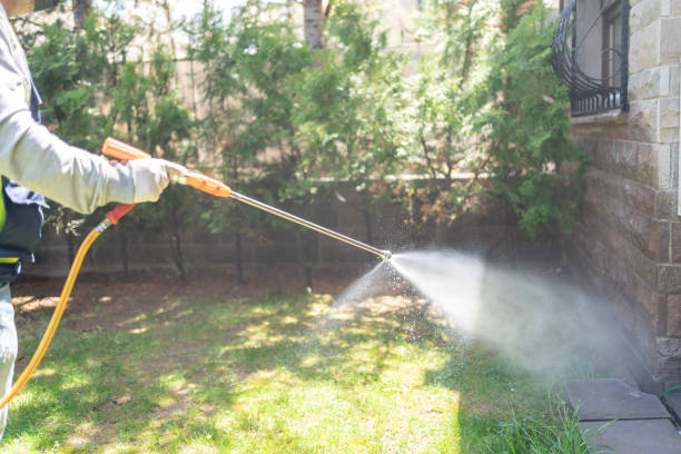 Wasp Removal Services in Onset, MA